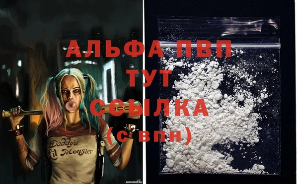 твердый Алексин
