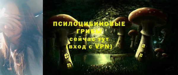мескалин Алексеевка