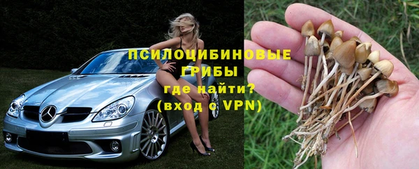 2c-b Алзамай