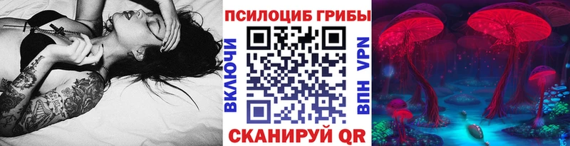 KRAKEN ссылки  что такое   Полярные Зори  Галлюциногенные грибы MAGIC MUSHROOMS 